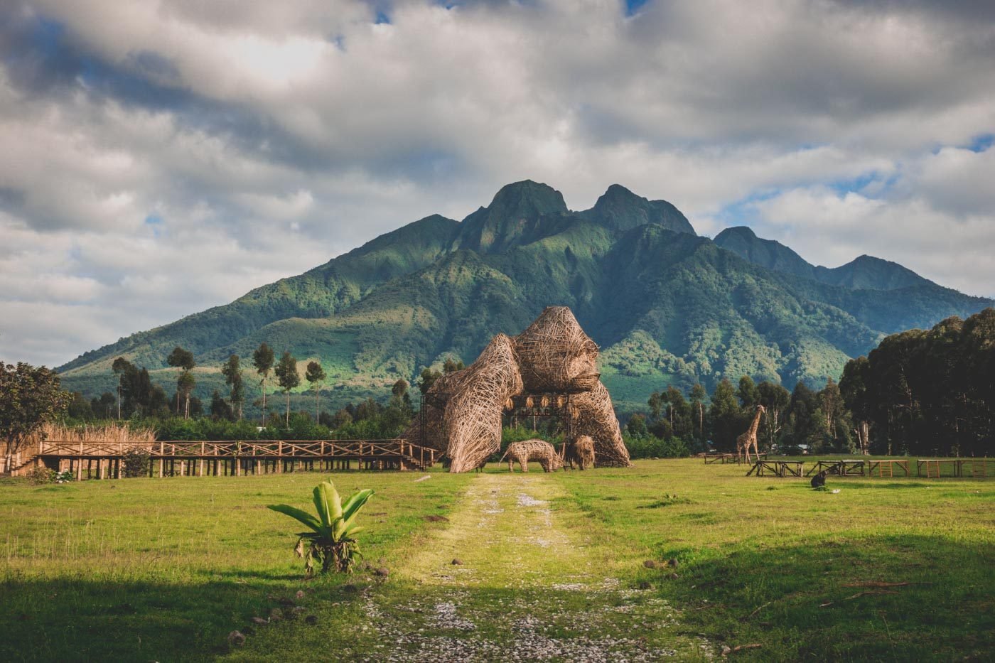 Volcanoes National Park: Rwanda’s Crown Jewel of Conservation and Tourism