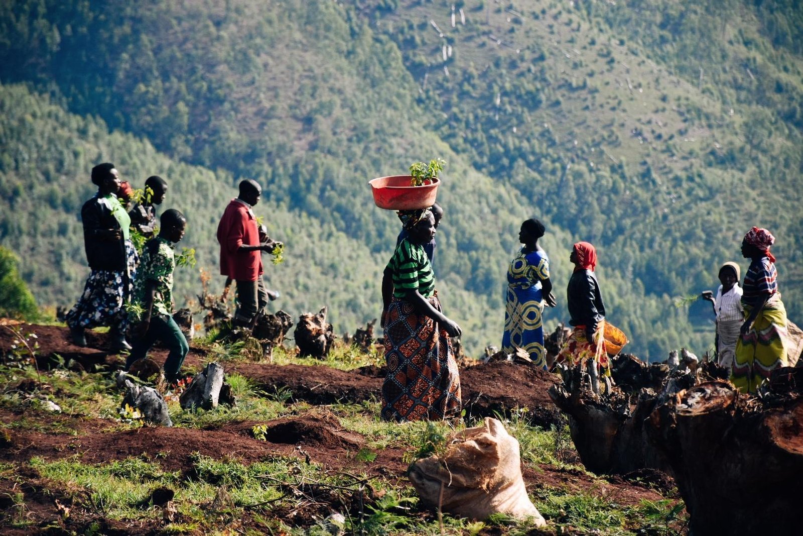Rwanda’s Green Revolution – Leading Africa’s Environmental Sustainability Journey