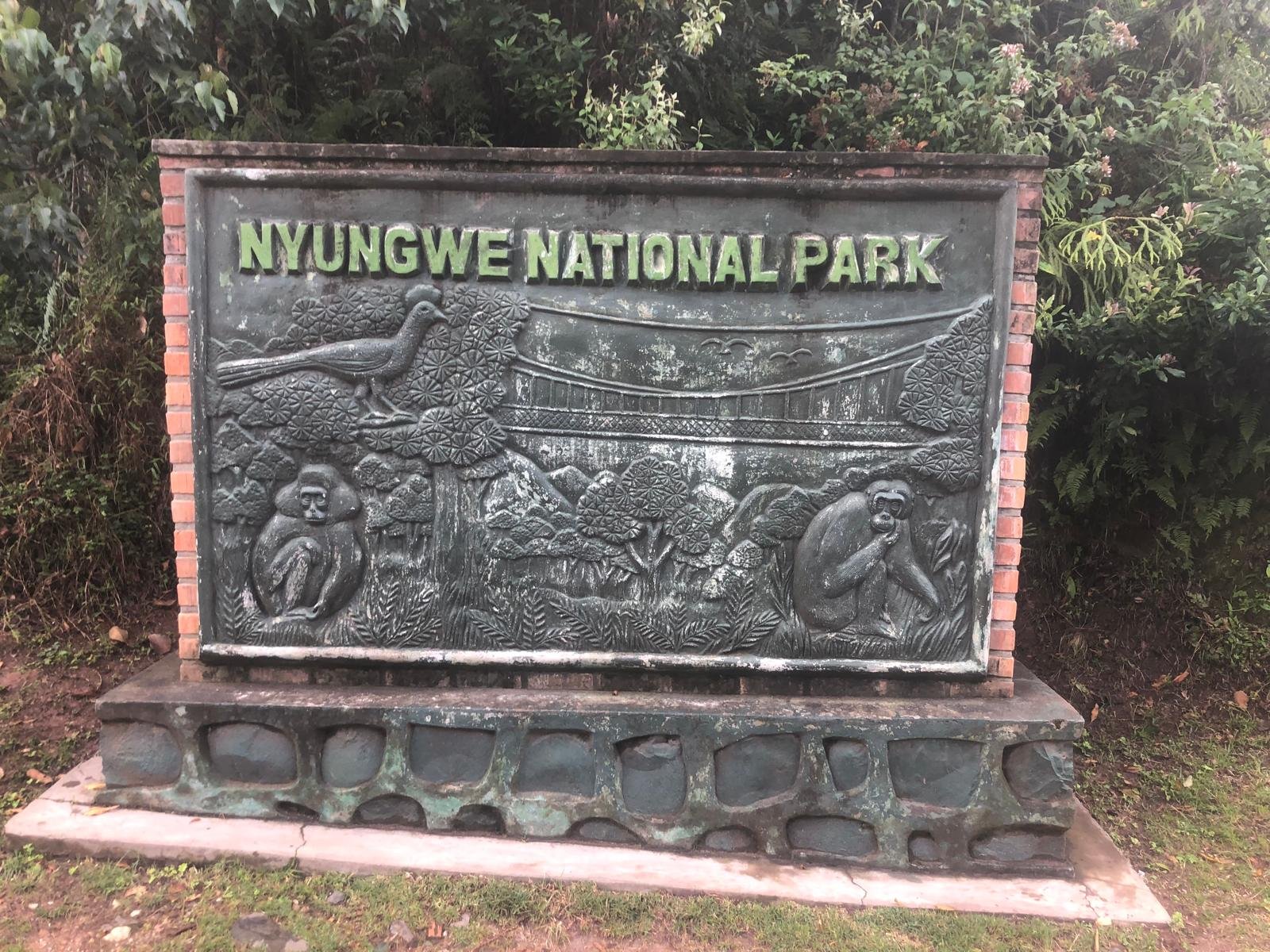 Visite de la FORET DE NYUNGWE au RWANDA