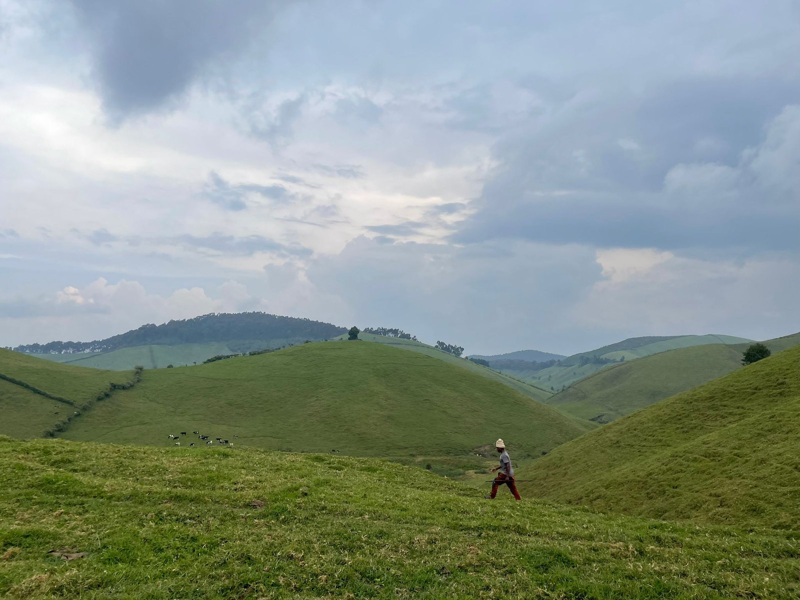 Ibere ry’A Bigogwe: Where Inyambo, Culture & Vision Meet Opportunity